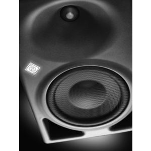 Neumann KH 150 AES67 (single)