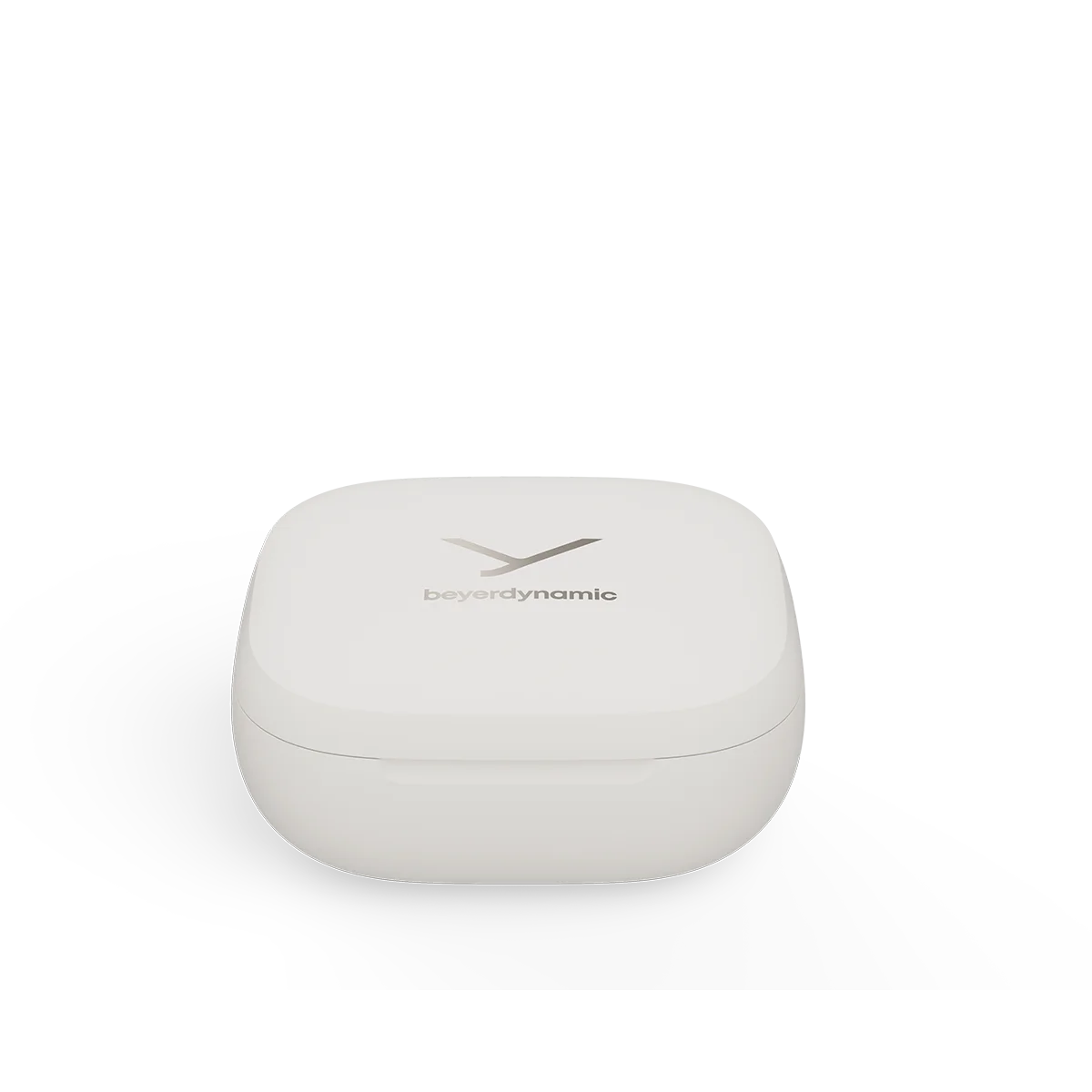 Amiron 300 TWS Earbuds